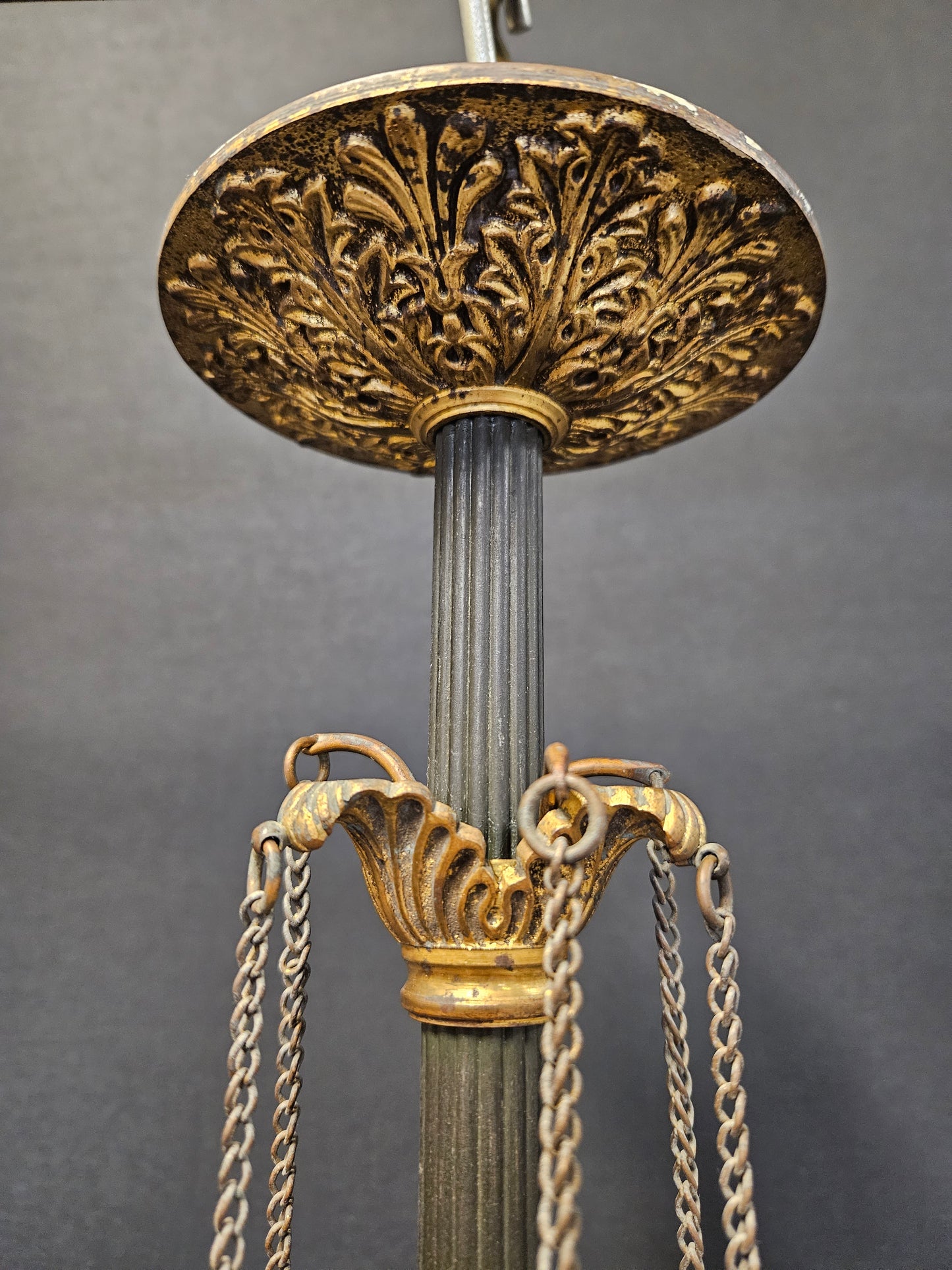 close up view of canopy