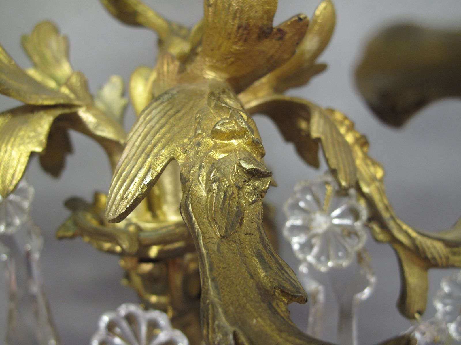 close up detailing on arm