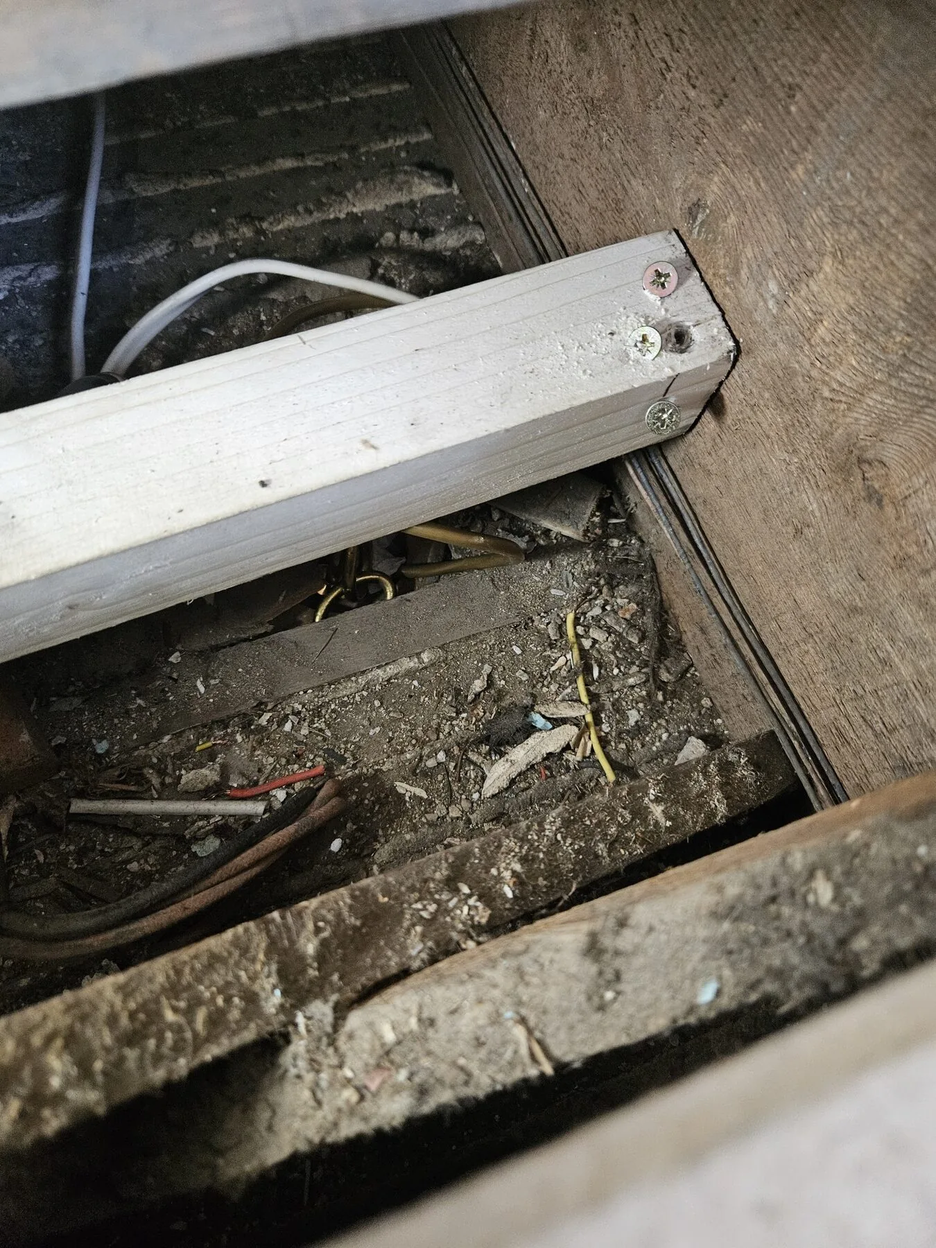 Lifted floorboards in the room above the reception room, exposing the joists in preparation for a new timber noggin and chandelier fixing