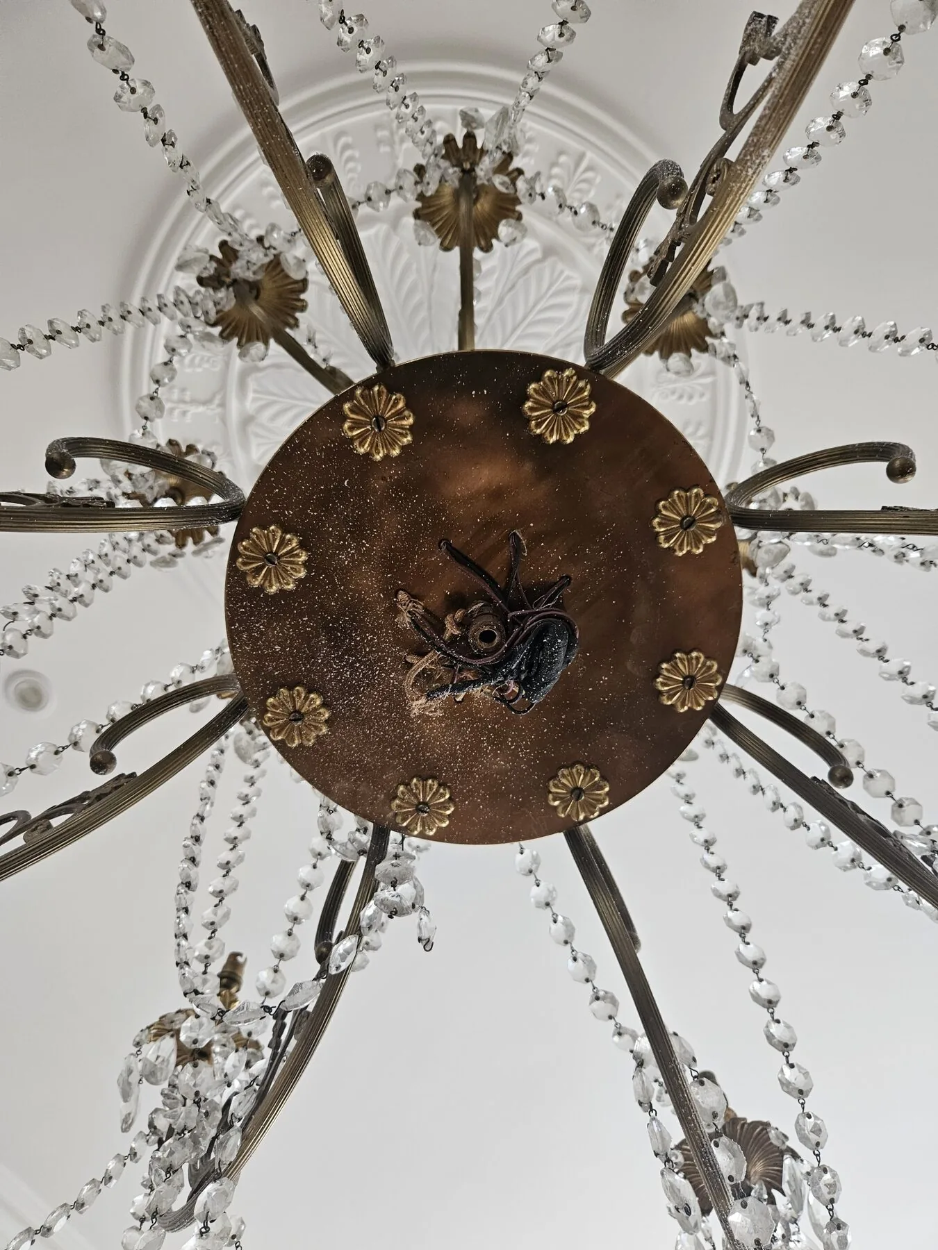 Central circular plate of the Italian chandelier viewed from below, with brass rosettes