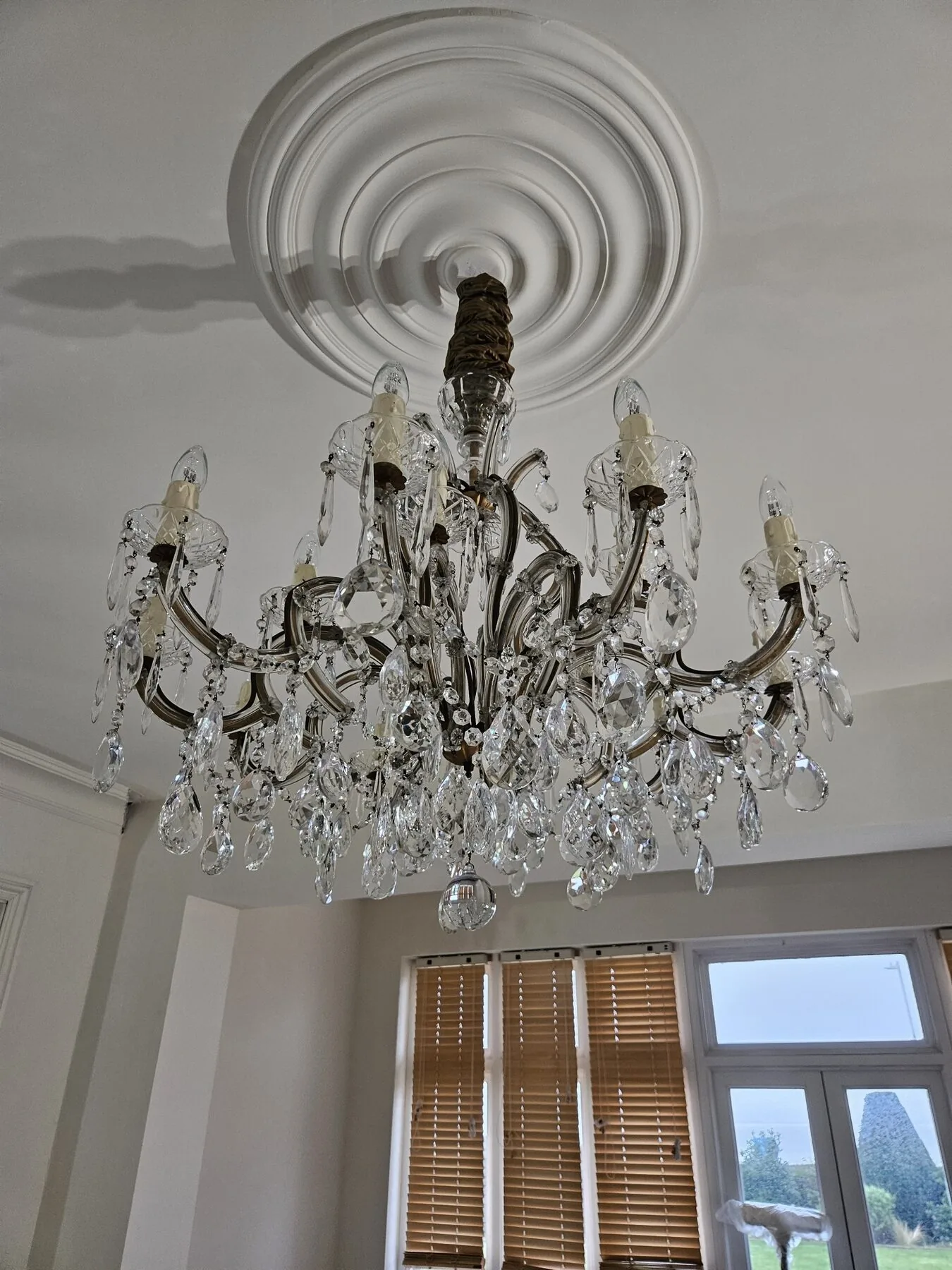 Full view of the crystal chandelier suspended from ornate ceiling rose